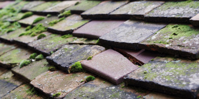 Mawgan Porth roof repair costs